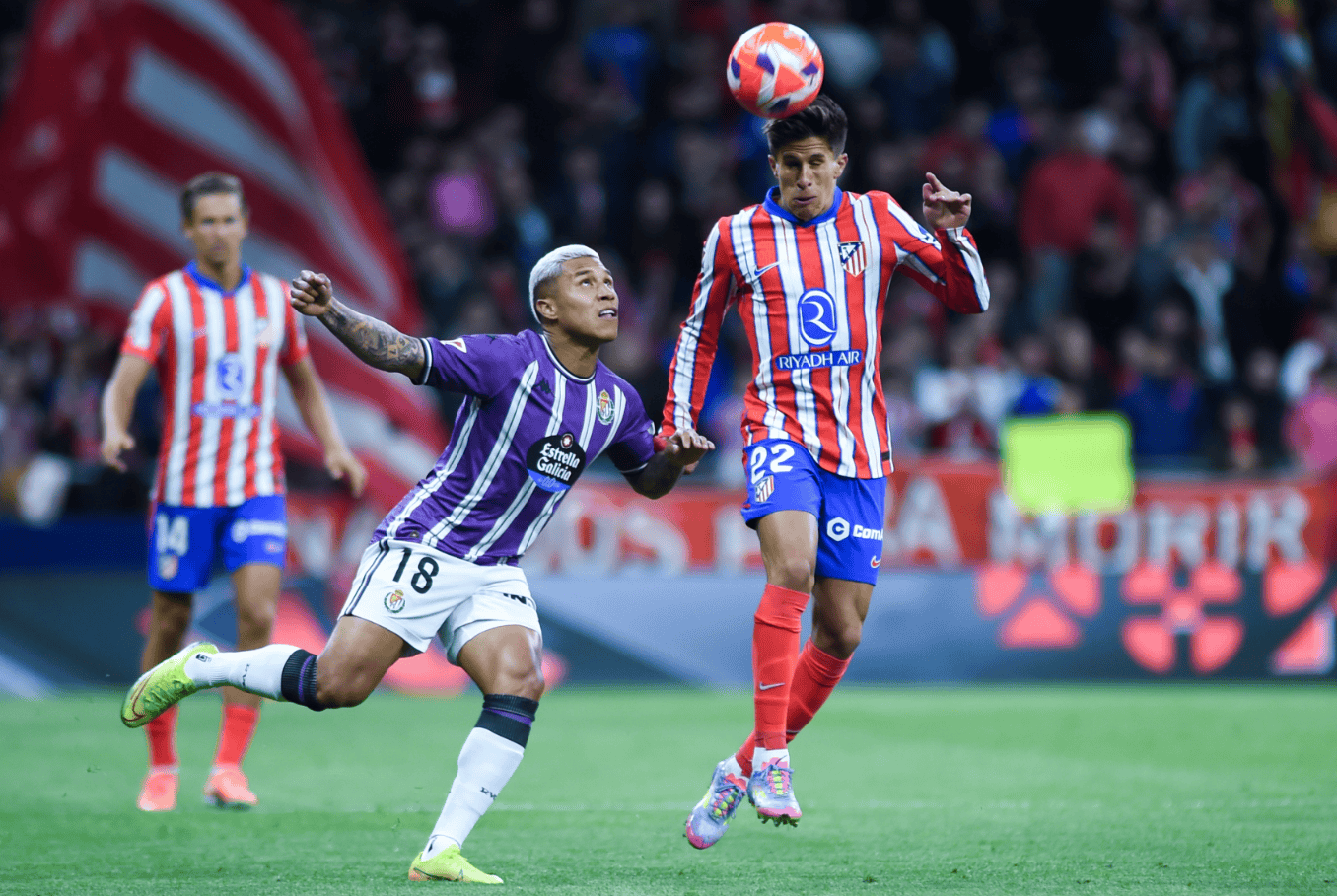 国际比赛日马德里竞技调整名单以备欧冠今夜波士顿凯尔特人状态回暖，赛后皇家马德里调整名单以备西甲直接炸裂的简单介绍